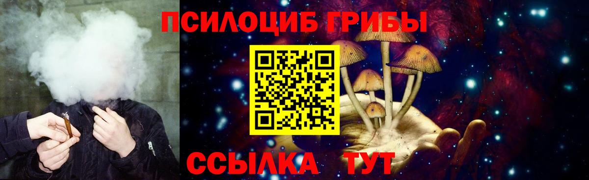 Псилоцибиновые грибы Cubensis  Галлюциногенные грибы прущие грибы  Кисловодск  Вход с VPN 