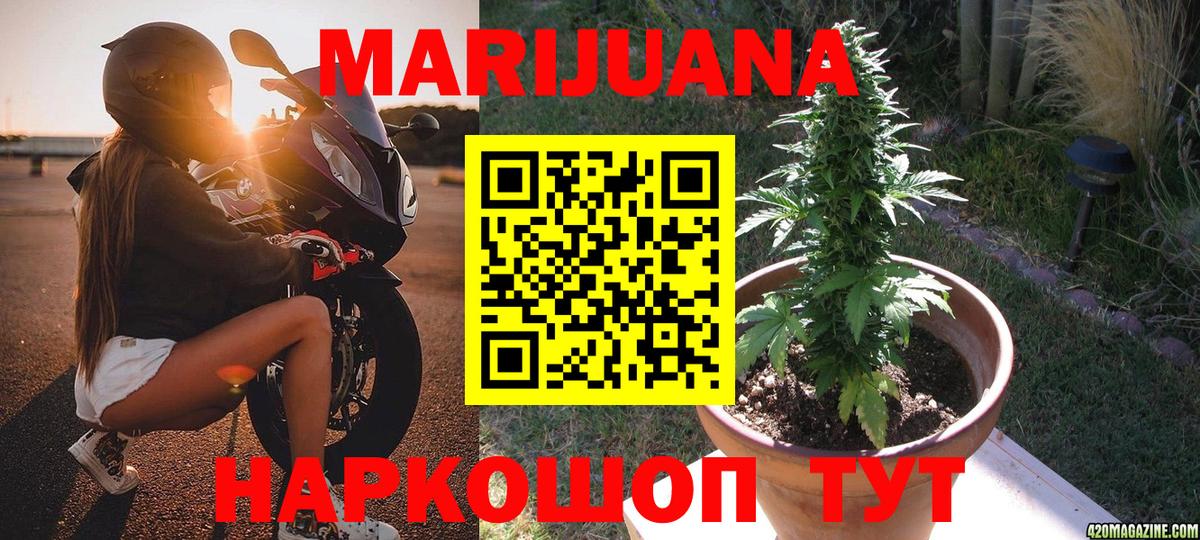 Шишки марихуана OG Kush Кисловодск